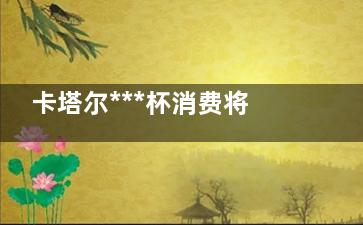 卡塔尔***杯消费将创历史新高 看来***制造又要大卖了